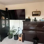 Cat's House- Dum U Trech Kocek