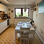 Cat's House- Dum U Trech Kocek * Zdice