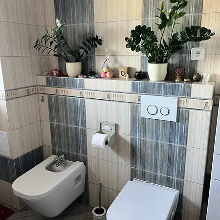 別荘 Cat's House- Dum U Trech Kocek Zdice