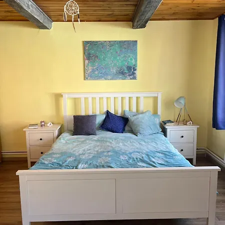 Cat's House- Dum U Trech Kocek *