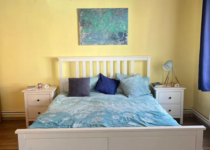 Cat's House- Dum U Trech Kocek *