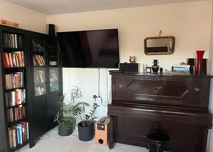 Cat's House- Dum U Trech Kocek