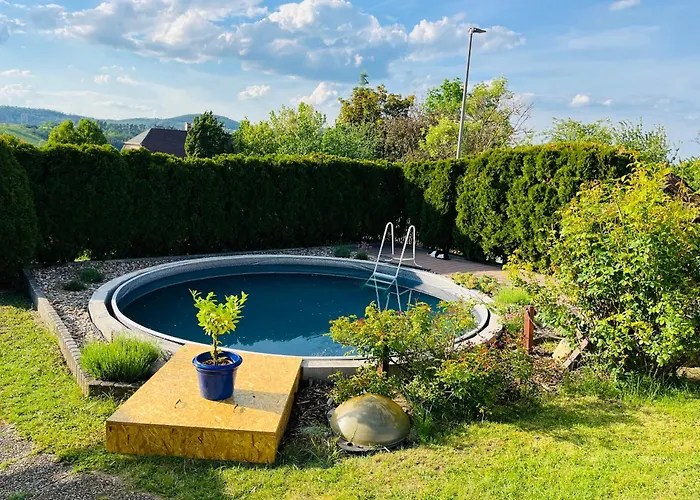 Cat's House- Dum U Trech Kocek